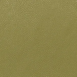 Āda Fantasy Lime  + 500.00€ 