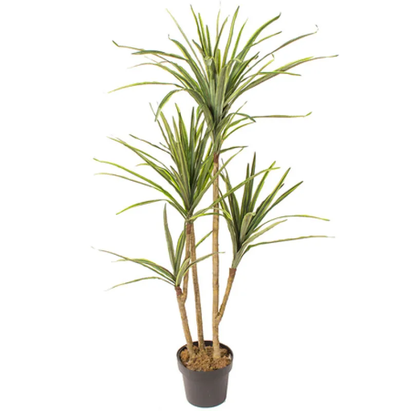 Dirbtinis augalas DRACAENA 1.40m Dirbtinis augalas DRACAENA 1.40m