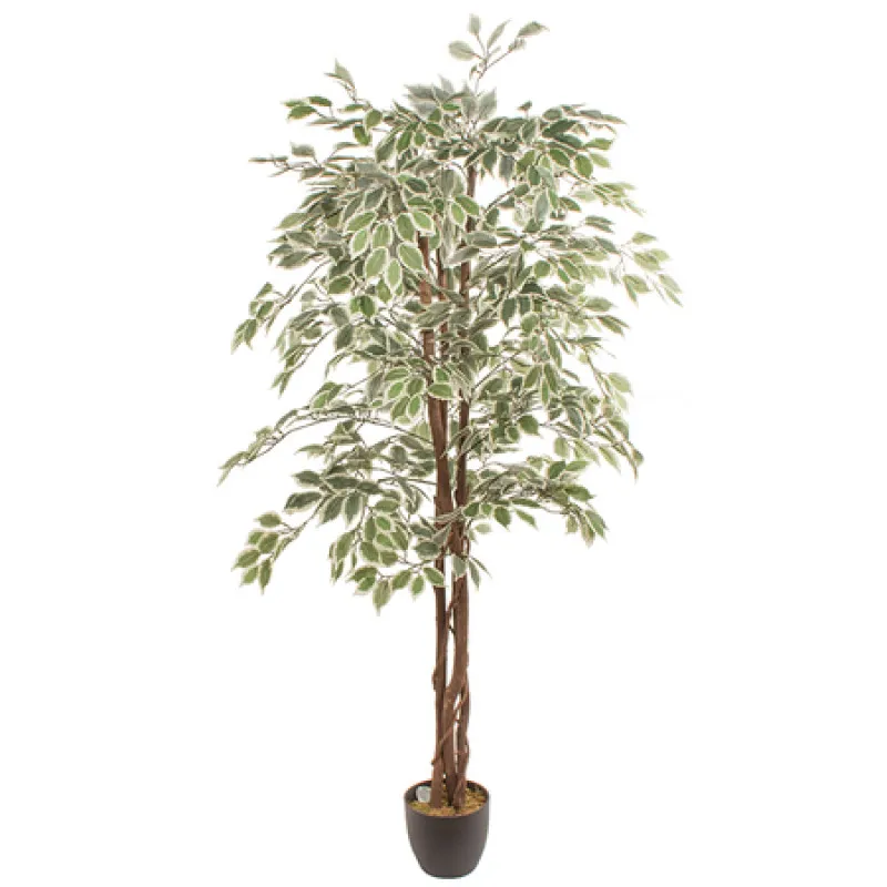 Mākslīgais augs FICUS 1.80m Mākslīgais augs FICUS 1.80m