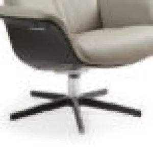 CO ALUMINIUM/BLACK STAIN OAK  + 90.00€ 