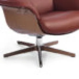 CO ALUMINIUM/WALNUT  + 90.00€ 