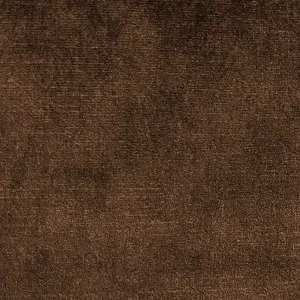 ADORE 81 BROWN  + 280.00€ 