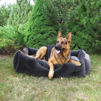 PET BED S (Dzīvnieku gulta)