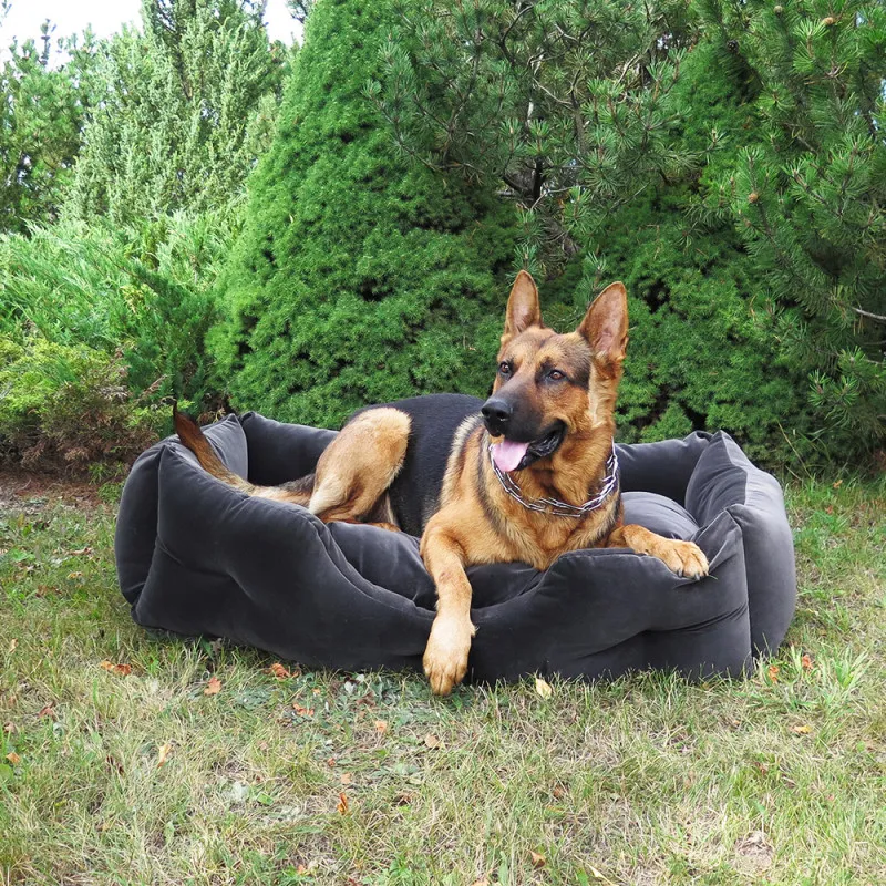 PET BED S (Dzīvnieku gulta)