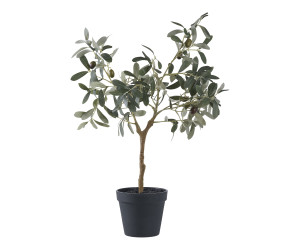 Medis OLIVE 9501002