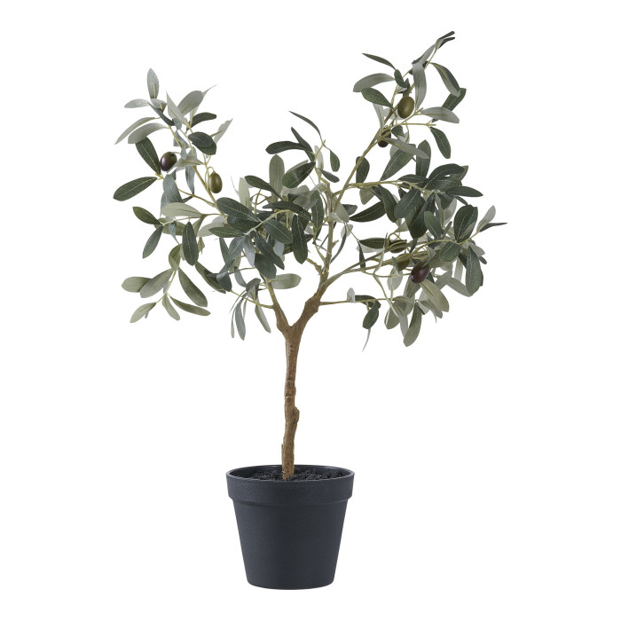 Medis OLIVE 9501002