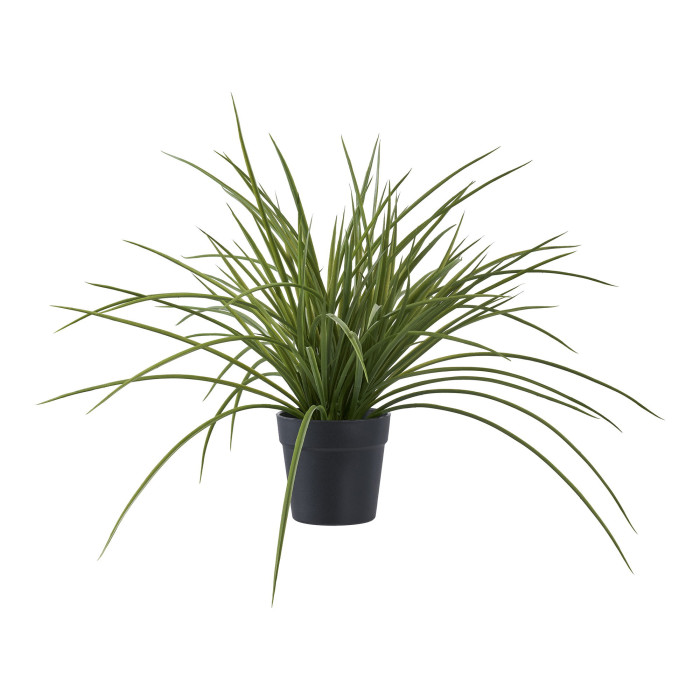 GRASS 9501004