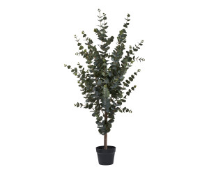 Medis EUCALYPTUS 9501015
