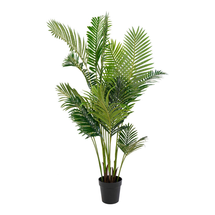 Delninė ARECA 9501020