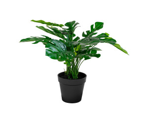 MONSTERA 9501040
