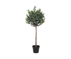Medis OLIVE 9501060