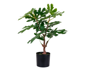 Medis FIG 9501110
