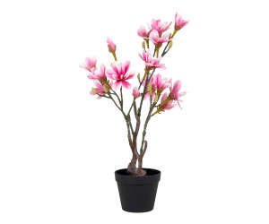 Medis MAGNOLIA 9501130