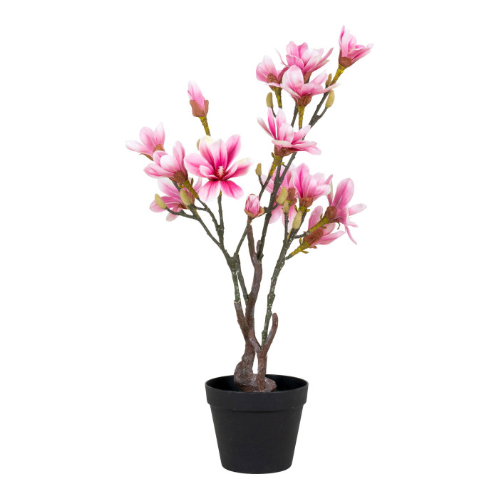 Medis MAGNOLIA 9501130