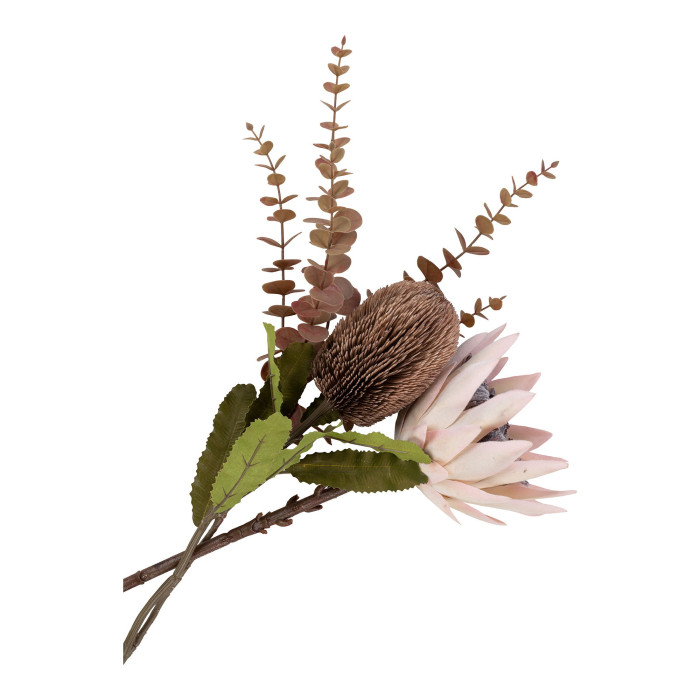 Protea puokštė KING 9501160
