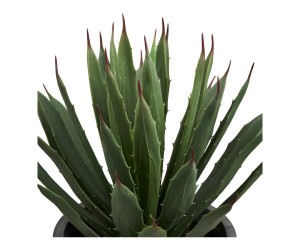 Dekoratyvinis augalas AGAVE — spalva: pilka / žalia Dekoratyvinis augalas AGAVE — spalva: pilka / žalia